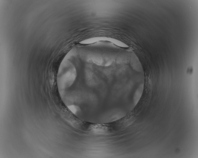 X0000114610331200911101157