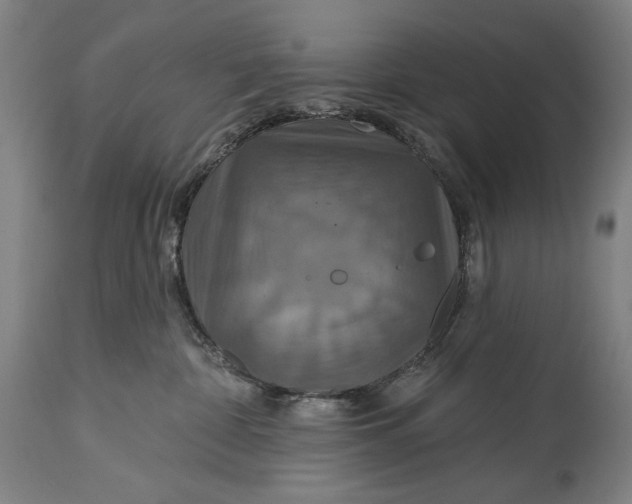 X0000114610332200911101157