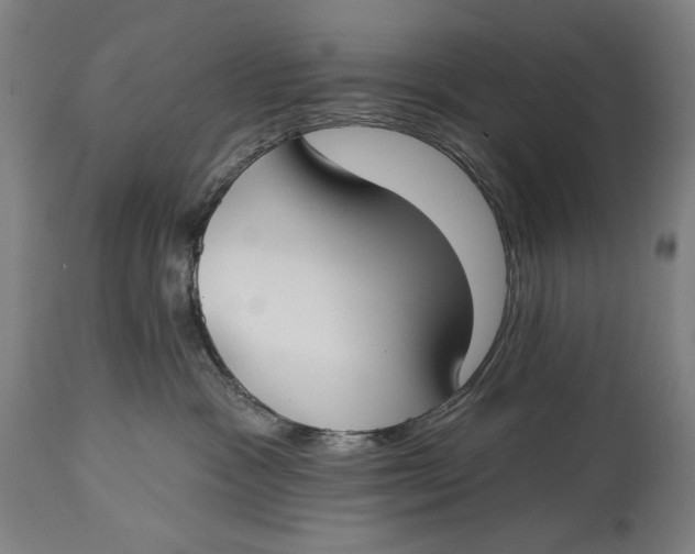 X0000114610333200911101157