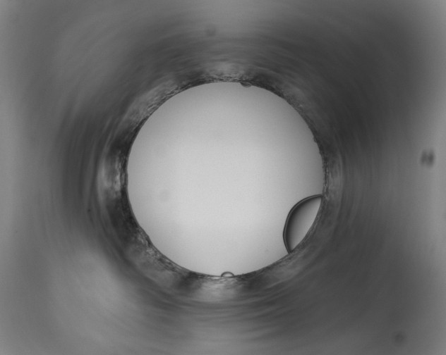 X0000114610334200911101157