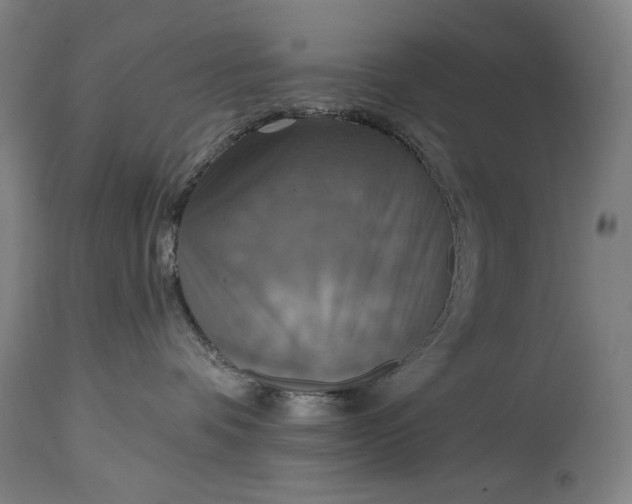 X0000114610336200911101157