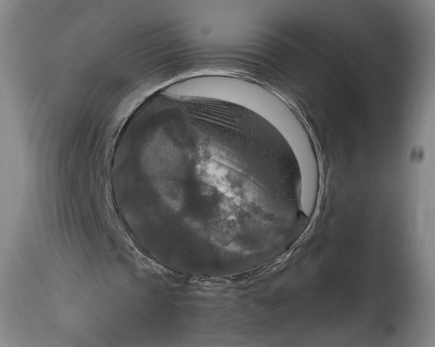 X0000114610337200911101156