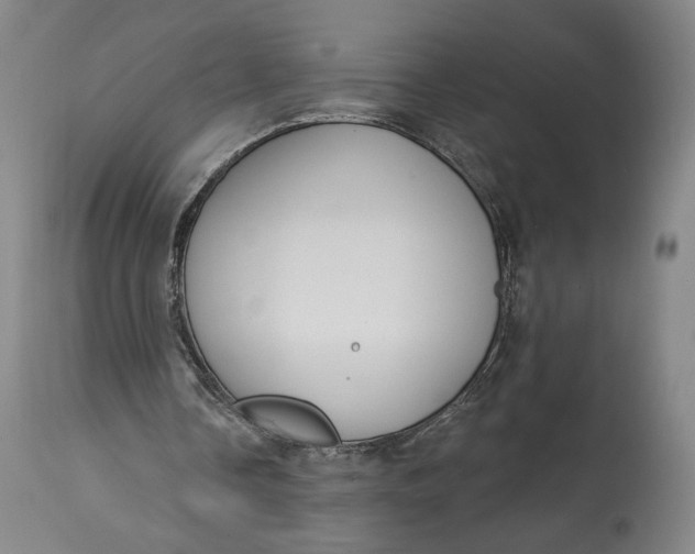 X0000114610338200911101156