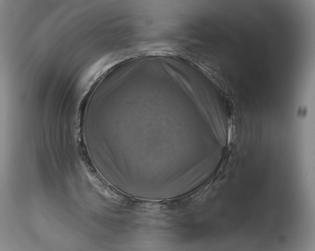 X0000114610339200911101156