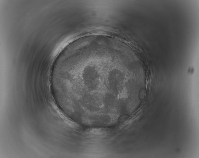 X0000114610341200911101156