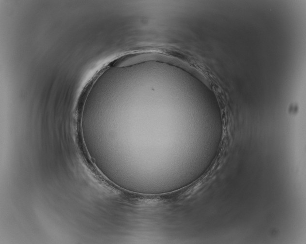 X0000114610342200911101156