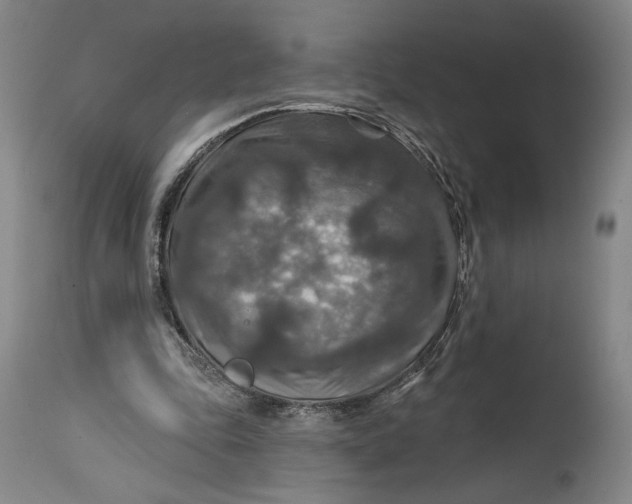 X0000114610343200911101156