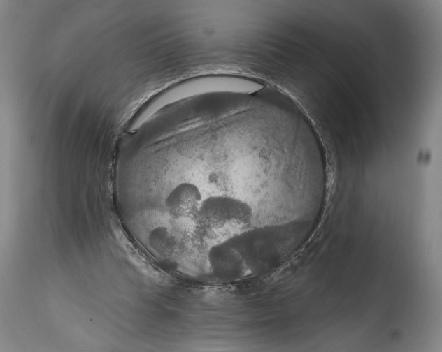 X0000114610345200911101156