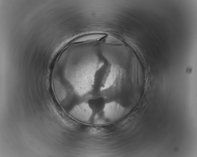 X0000114610346200911101156