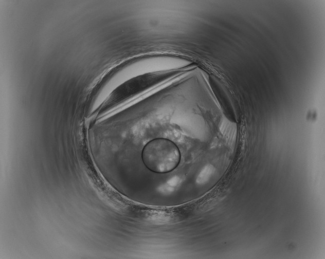 X0000114610347200911101156