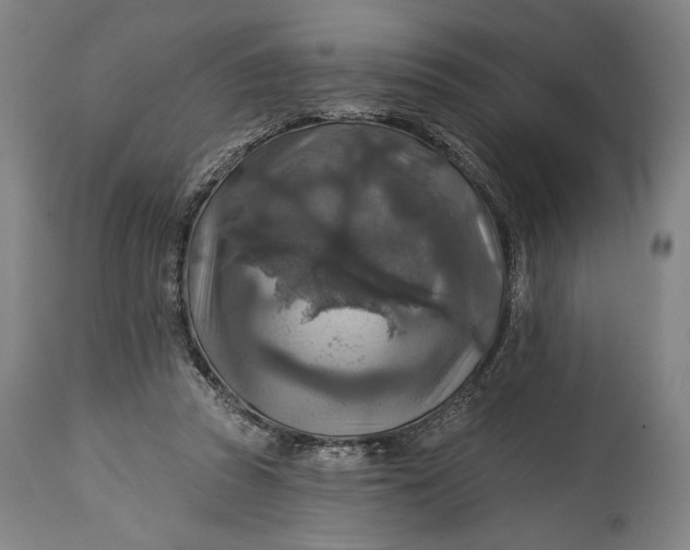 X0000114610353200911101157