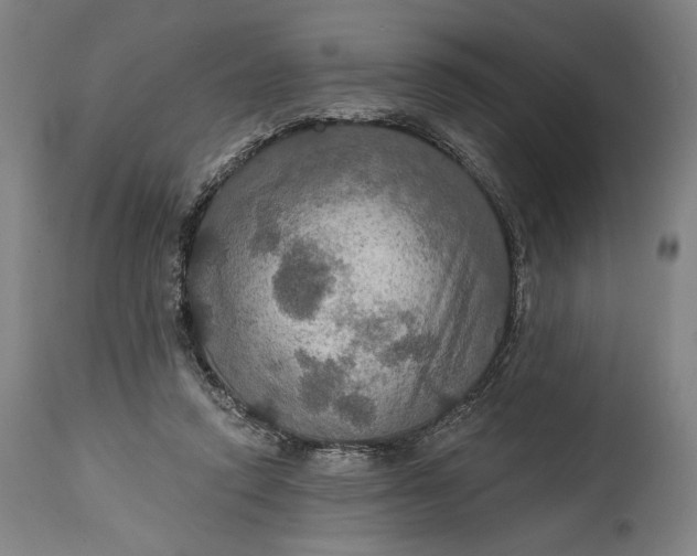 X0000114610354200911101157