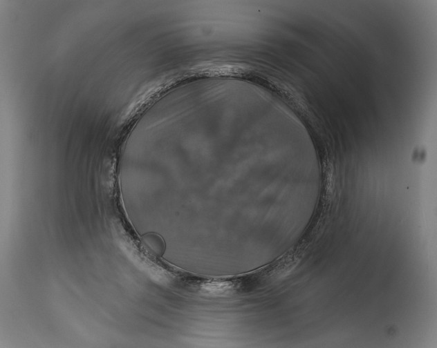 X0000114610357200911101157