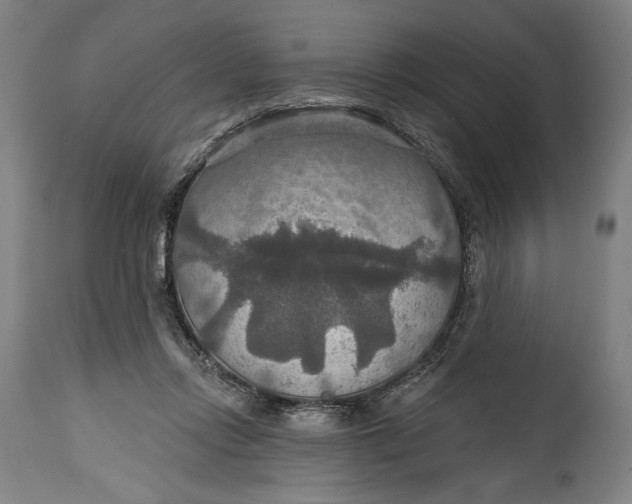 X0000114610358200911101157