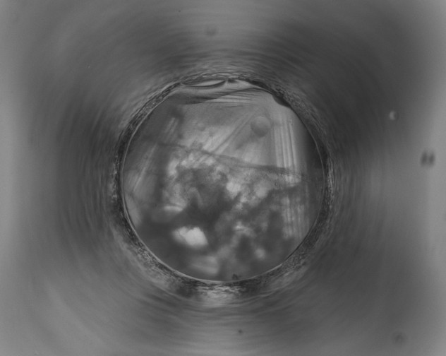 X0000114610359200911101157