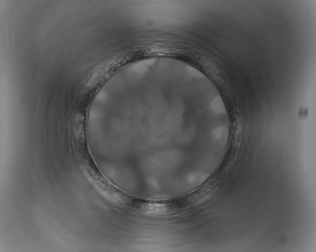 X0000114610361200911101157