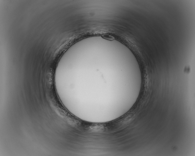 X0000114610362200911101157