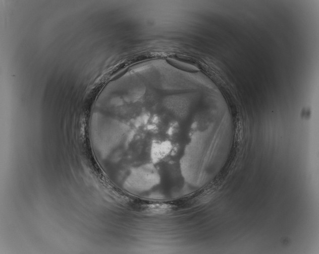 X0000114610363200911101157