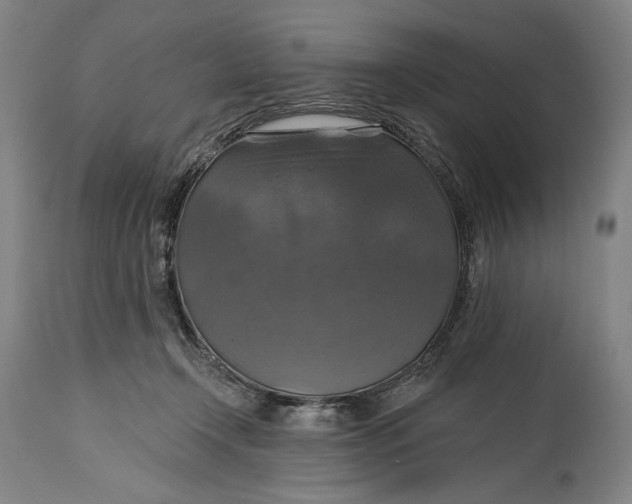 X0000114610366200911101157