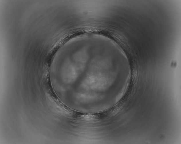 X0000114610367200911101157