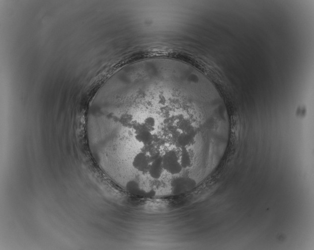 X0000114610369200911101157