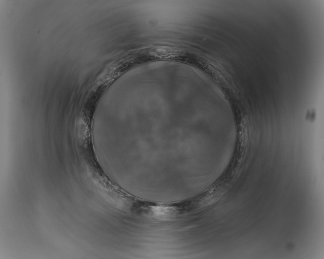 X0000114610371200911101157