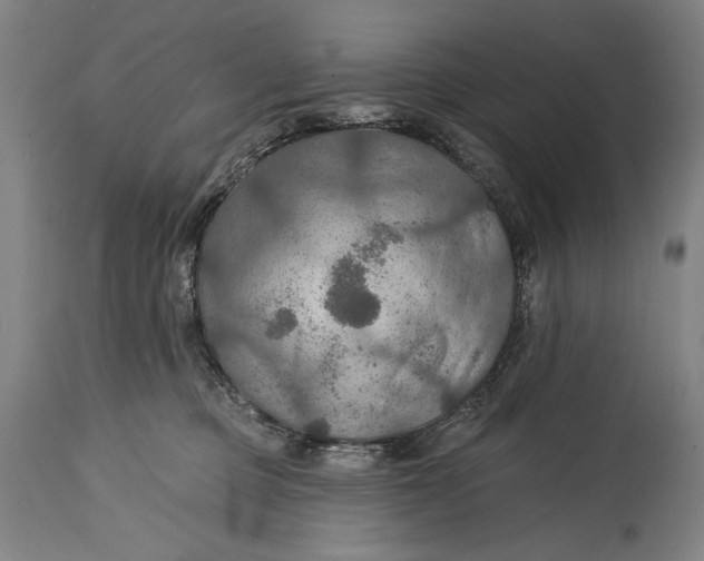 X0000114610373200911101157