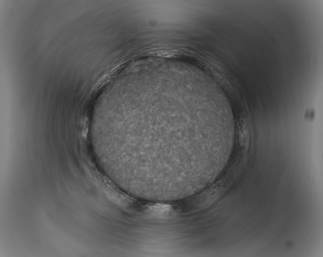 X0000114610374200911101157