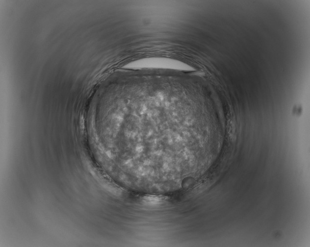 X0000114610375200911101157