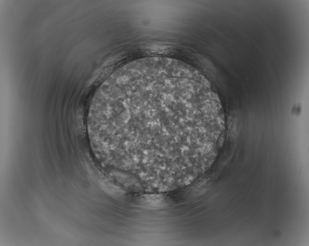 X0000114610377200911101157