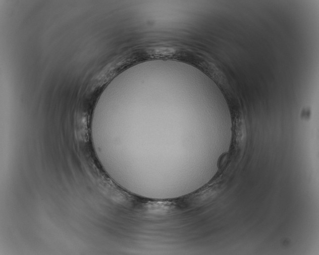 X0000114610378200911101157