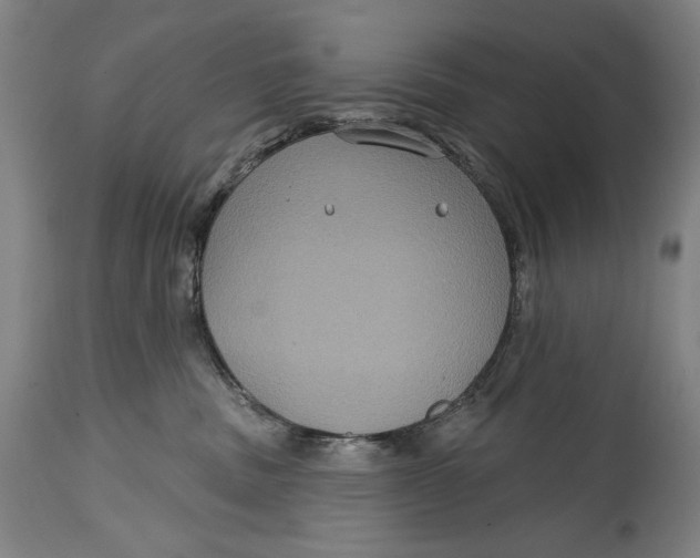 X0000114610379200911101157