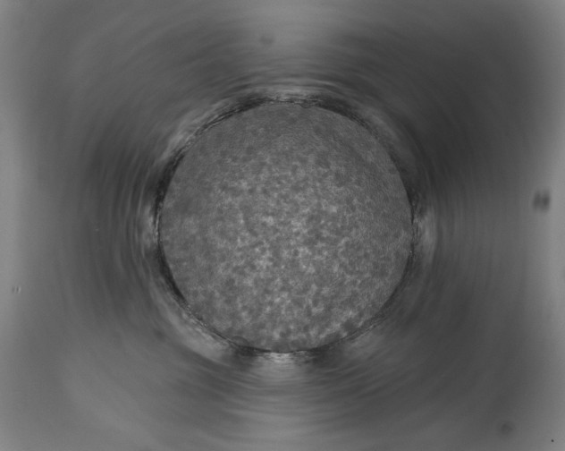 X0000114610381200911101157