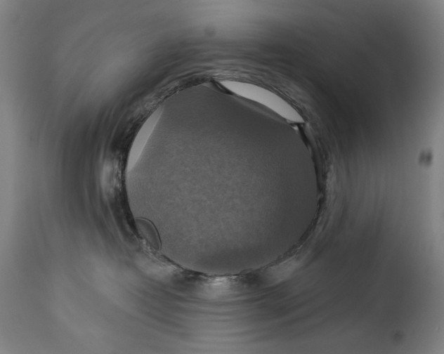 X0000114610382200911101157