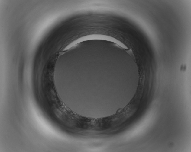 X0000114610383200911101157