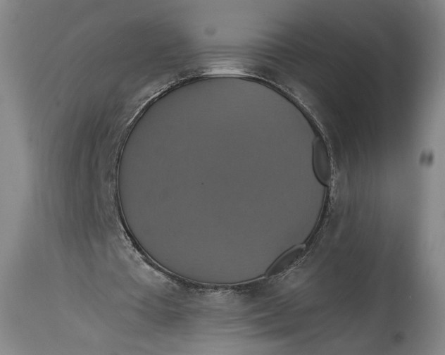 X0000114610385200911101156