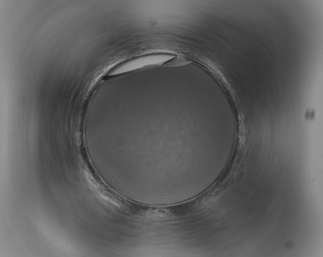 X0000114610386200911101156