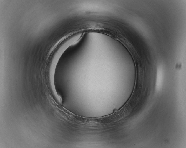 X0000114610387200911101156