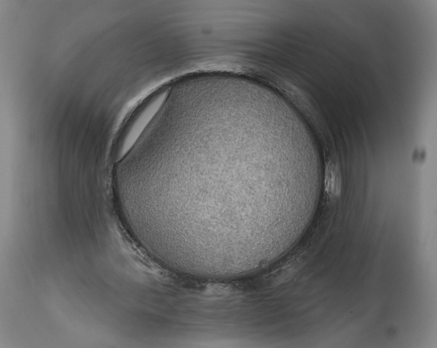 X0000114610388200911101156