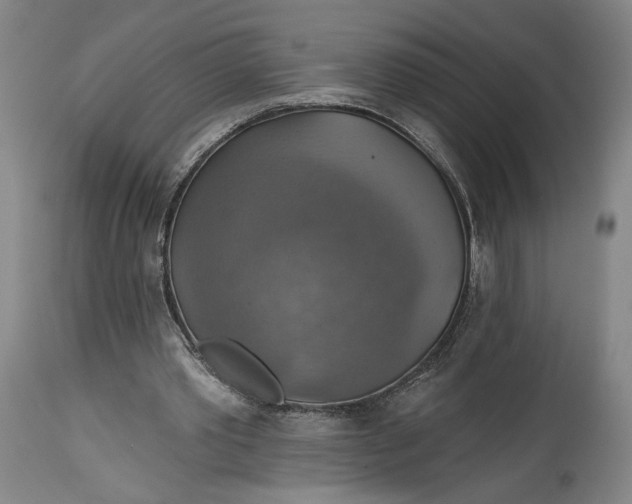 X0000114610389200911101156