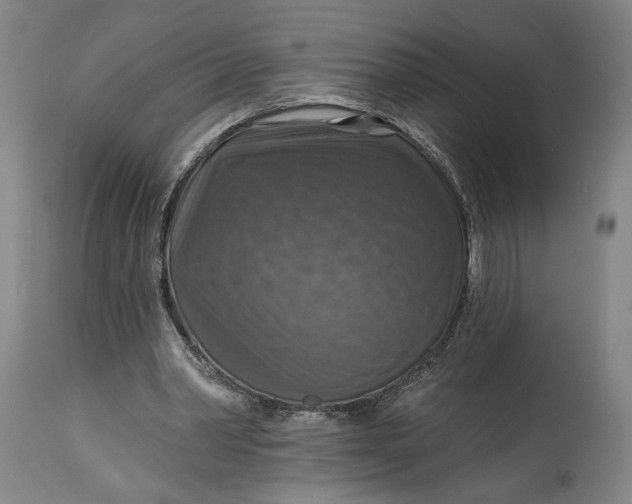 X0000114610390200911101156