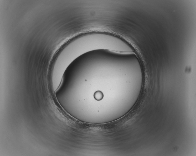 X0000114610391200911101156