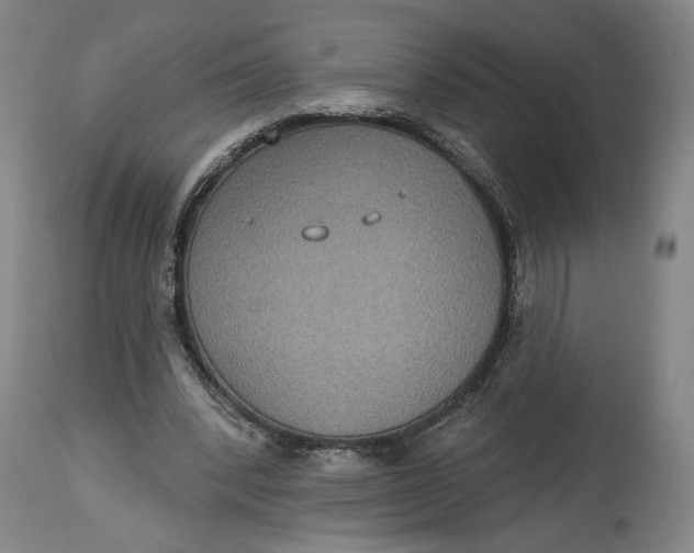 X0000114610392200911101156