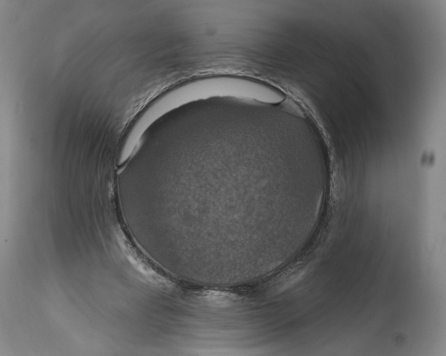 X0000114610393200911101156