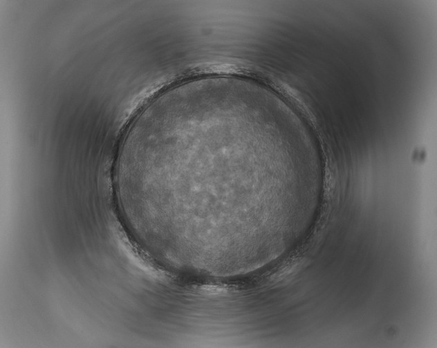 X0000114610394200911101156