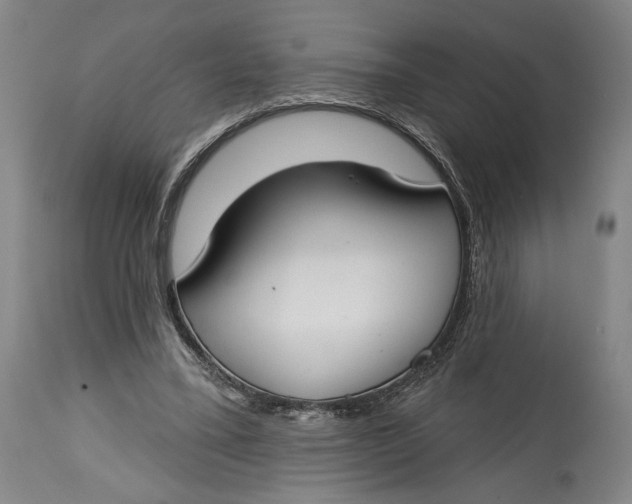 X0000114610395200911101156