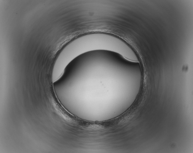 X0000114610397200911101156