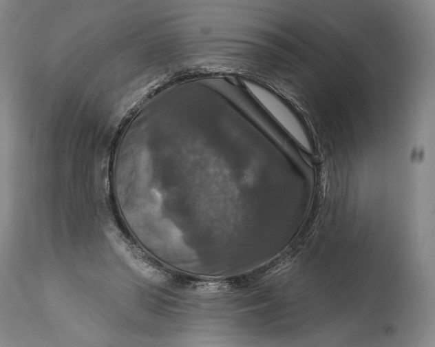 X0000114610398200911101156