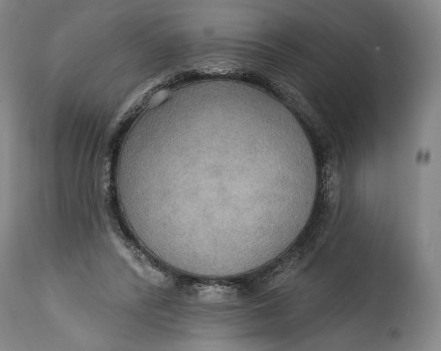 X0000114610400200911101156