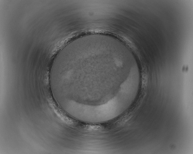 X0000114610401200911101156